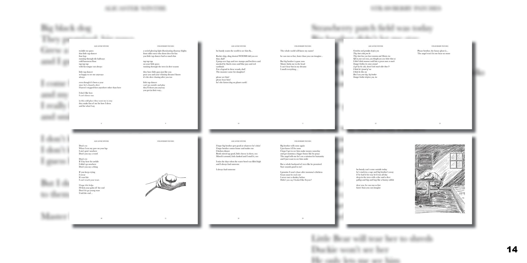 Treatment page 14